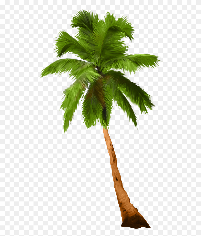 535x924 Palm Tree Clipart Plm - Imágenes Prediseñadas De Palmetto Tree