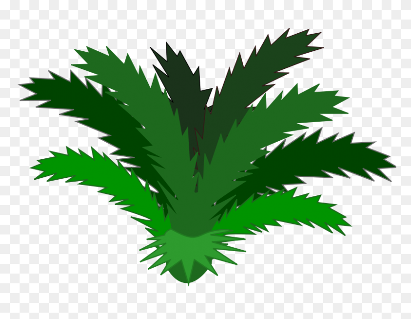 800x609 Palm Tree Flower Clip Art Gardening Flower And Vegetables - Palm Frond Clip Art