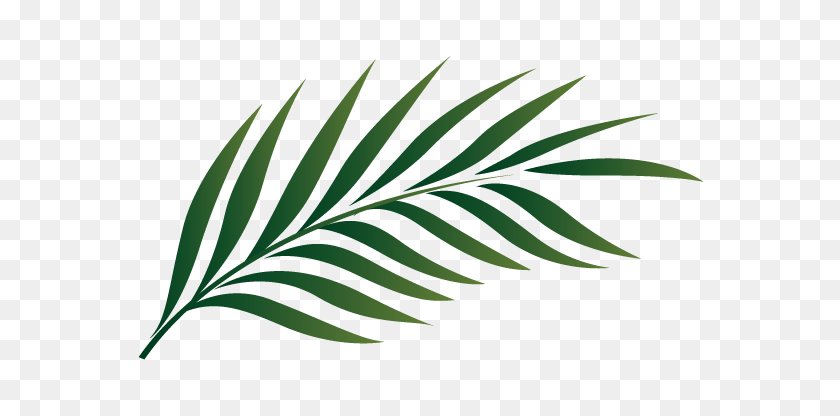 575x356 Palm Tree Leaf Clipart - Blessed Clipart