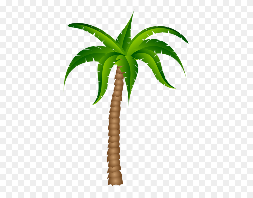 445x600 Palm Tree Leaves Clipart - Palm Tree Leaves PNG