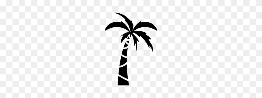 256x256 Palm Tree Leaves Frame - Palm Tree Leaves Clip Art