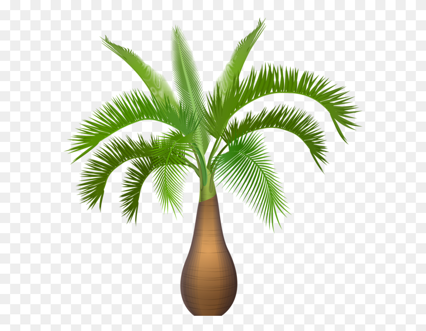600x593 Palm Tree Plant Png Clip Art - Palm Tree Border Clipart