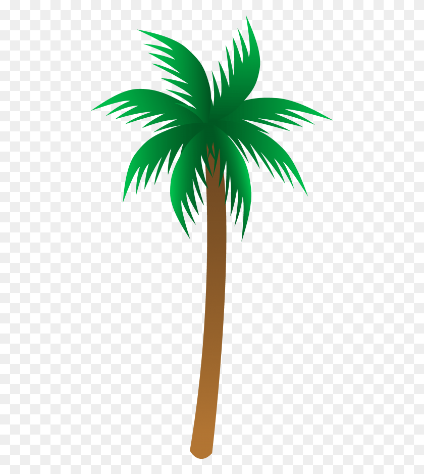 480x878 Palm Tree Png - Palm Tree Silhouette PNG