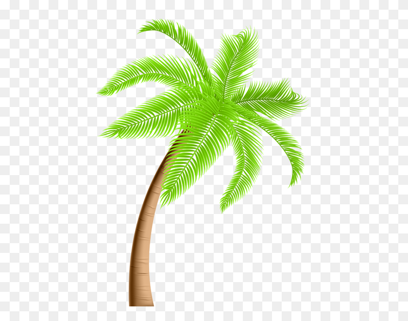 445x600 Palm Tree Png Clip - Palm Tree Border Clipart