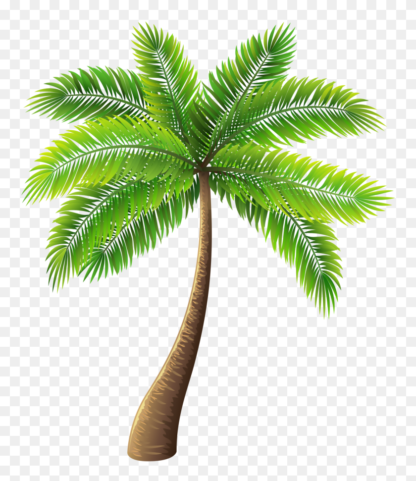 1284x1500 Palm Tree Png Clip Art - Palm Tree Clip Art