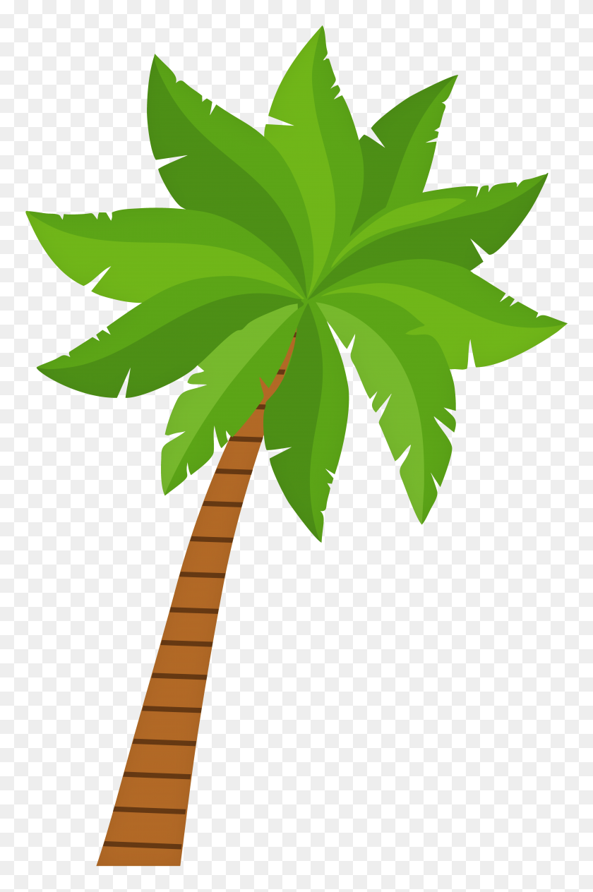 5181x8000 Palm Tree Png Clip Art - Plant Top View PNG