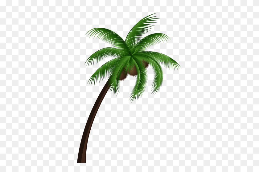 355x500 Palm Tree Png, Clip Art, Art - Palm Branch PNG