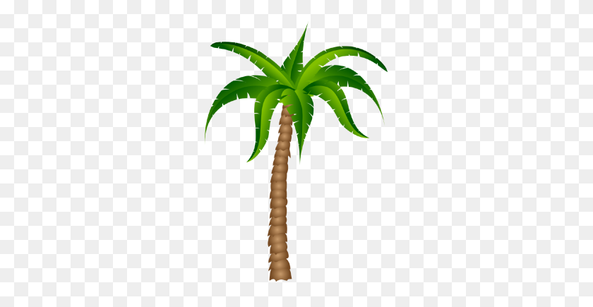 278x375 Palm Tree Png Clipart - Cartoon Palm Tree PNG