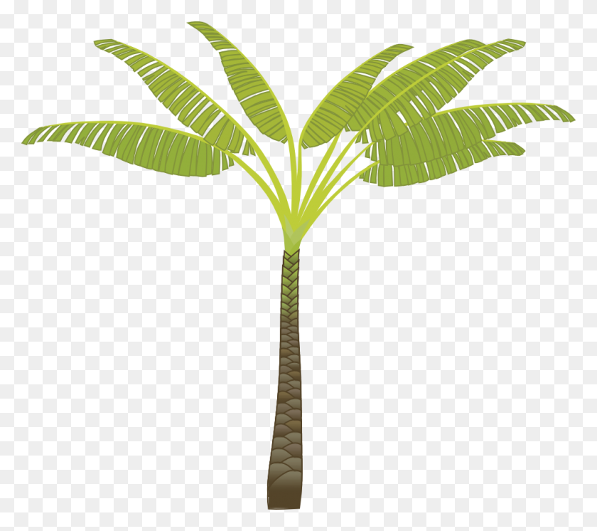 999x879 Palm Tree Png Images - Palm Frond PNG