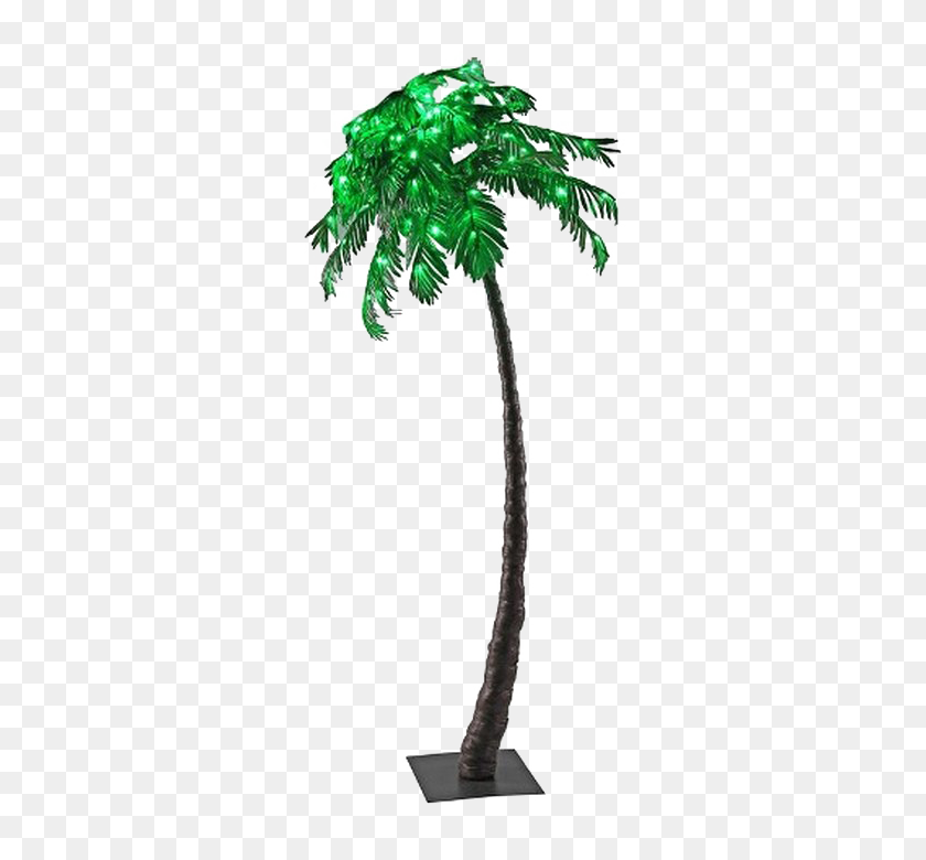 720x720 Palm Tree Png Transparent Images, Pictures, Photos Png Arts - Palm Tree PNG Transparent