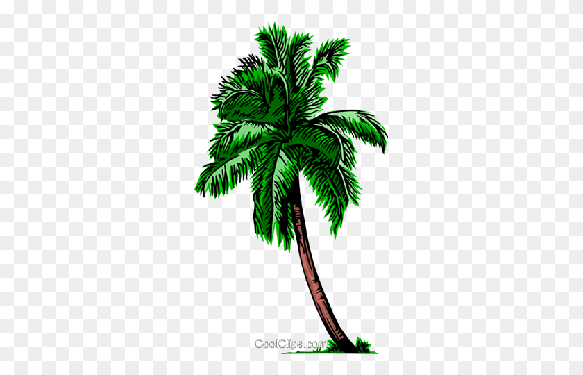 279x480 Palm Tree Royalty Free Vector Clip Art Illustration - Vegetation Clipart