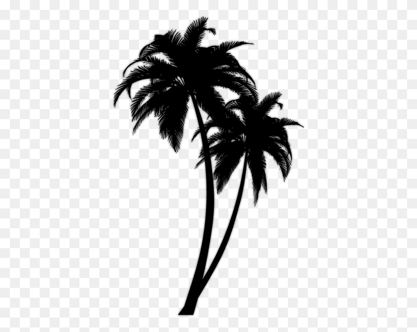 390x609 Palm Tree Silhouette Png Clip Art - Trees Silhouette PNG