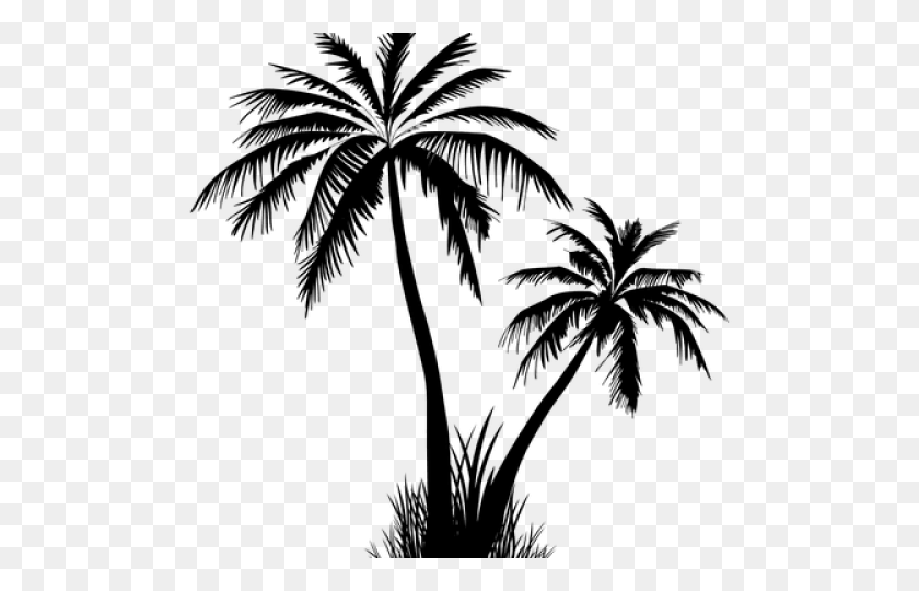 640x480 Palm Tree Silhouette Png Free Download Clip Art - Tree Silhouette PNG