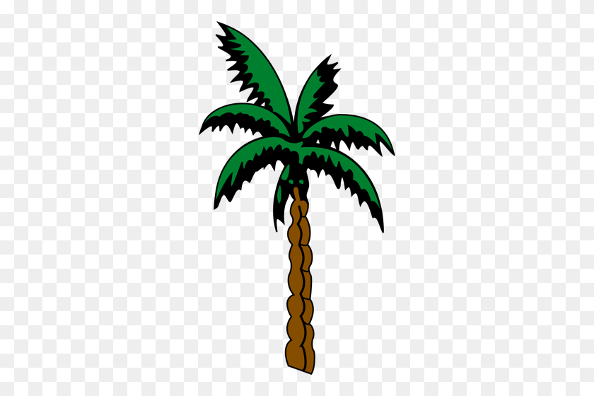 278x500 Palm Tree Sketch - Palms PNG