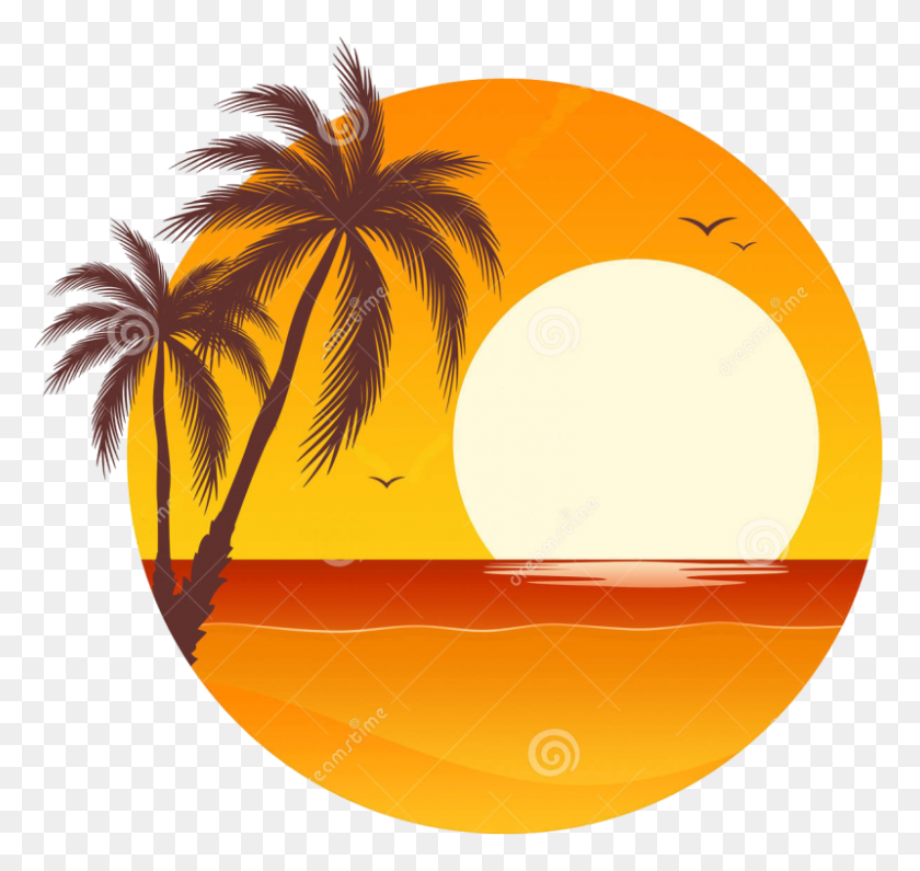 800x754 Palm Tree Sunset Clipart Pixel - Weeping Willow Tree Clipart