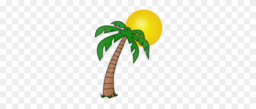 228x298 Palm Tree Under The Sun Clip Art Images Palm Tree - Paradise Clipart