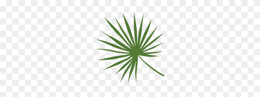 256x256 Palm Tree With Leaves Silhouette - Tropical Leaves PNG
