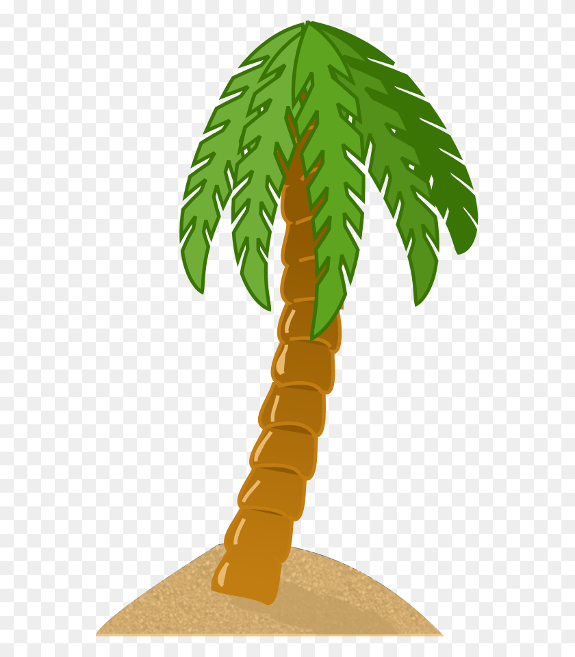 559x900 Palm Trees Clip Art - Willow Tree Clipart