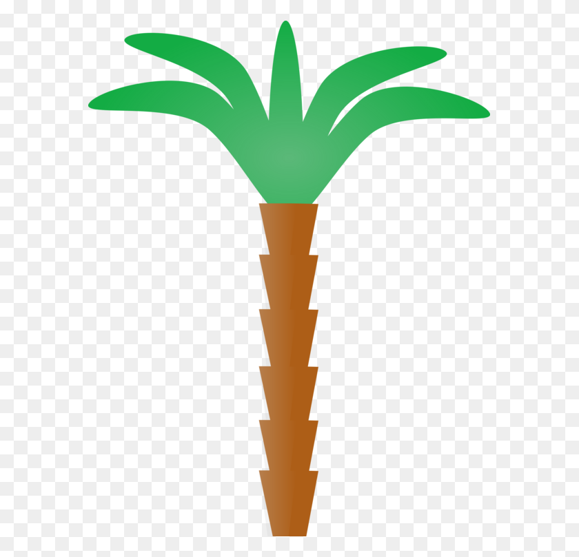 583x749 Palm Trees Coconut Trunk Computer Icons - Palm Tree With Coconuts Clipart
