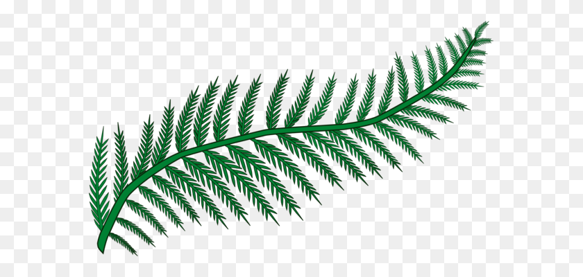 583x340 Palm Trees Frond Leaf Palm Branch Silhouette - Palm Branch PNG
