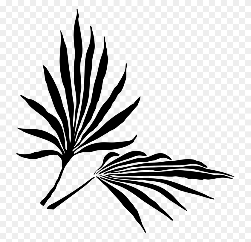 733x750 Palm Trees Frond Leaf Palm Branch Silhouette - Palm Tree Clipart Black And White