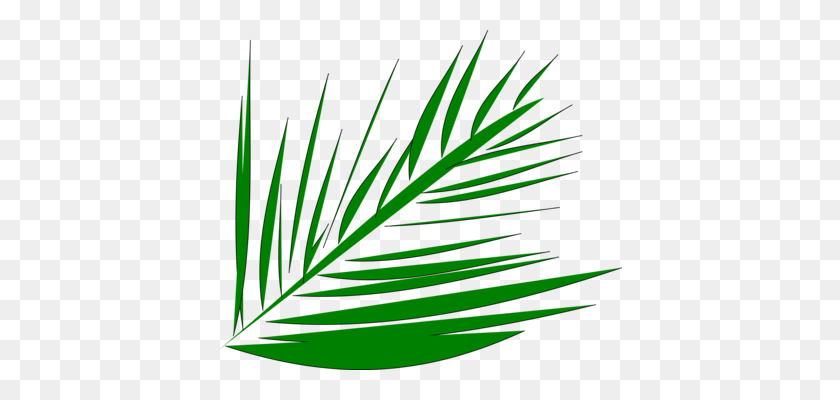 404x340 Palm Trees Palm Branch Palm Leaf Manuscript Frond - Palm Branch PNG