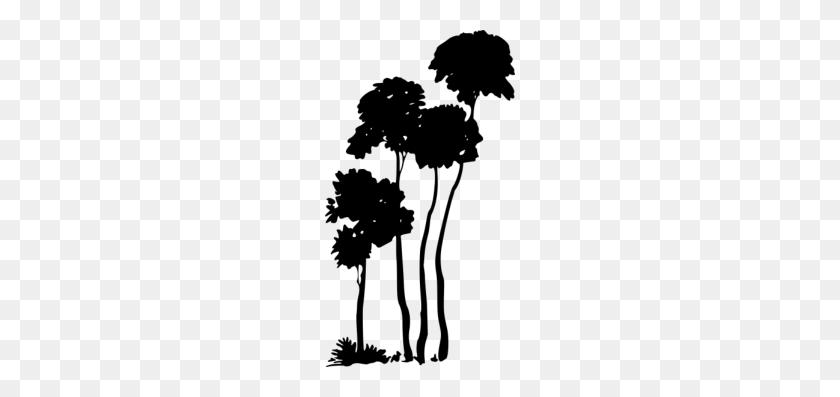 190x337 Palm Trees Silhouette - Trees Silhouette PNG