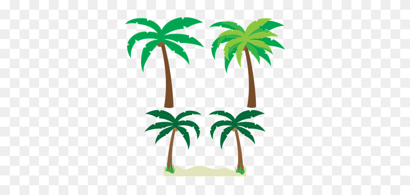 340x340 Palm Trees Sketch Matamata Palms - Tree Sketch PNG