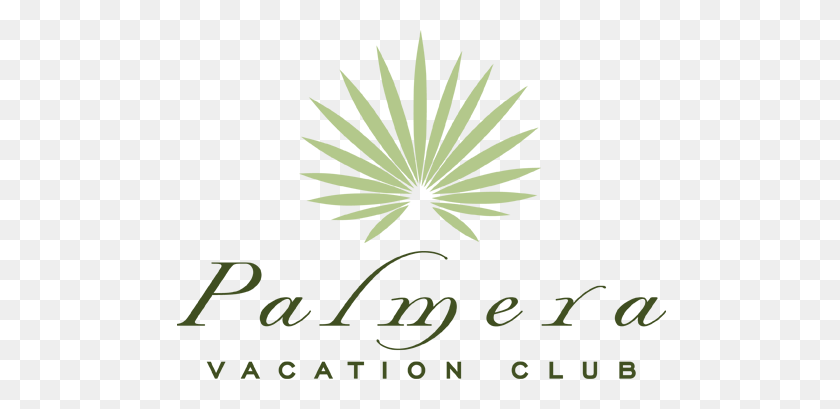 494x349 Palmera Vacation Club Hilton Head Island Premier Vacation Club - Palmeras Png