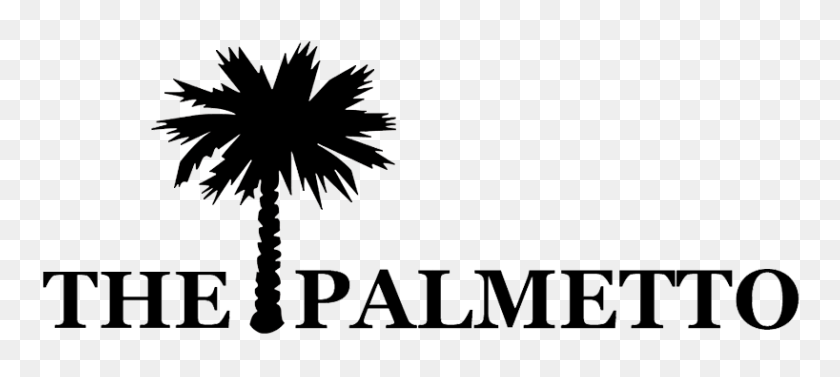 818x333 Palmetto High School Golf Championship De La High School Secundaria De Golf - Palmetto Tree Clipart