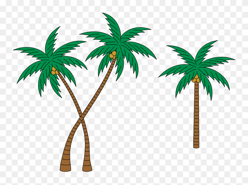 2000x1453 Palms - Palms PNG