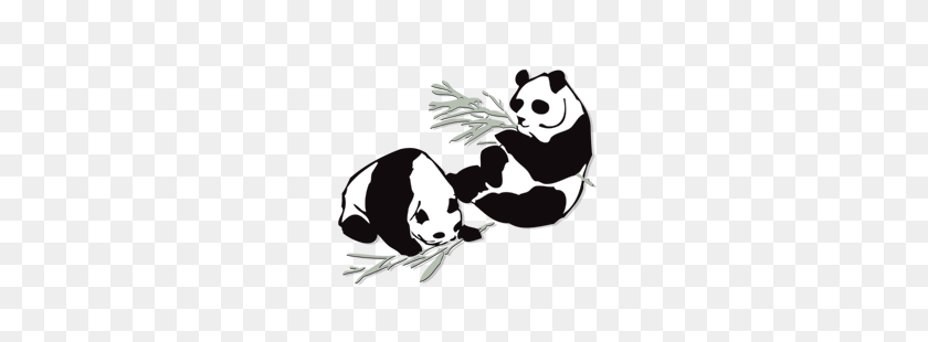 250x250 Panda Clipart Chinese Food - Food Delivery Clipart
