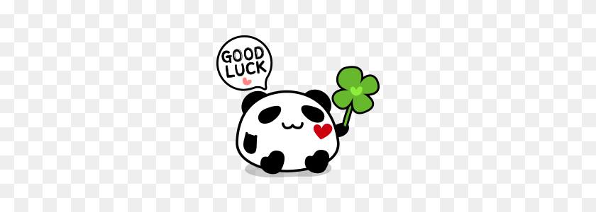 240x240 Panda Maru - Good Luck PNG