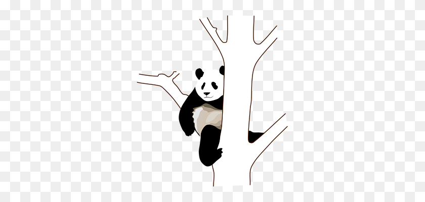 Panda, дерево, ветви, сидя, Подняться Panda Pics - дерево Limb Клипарт