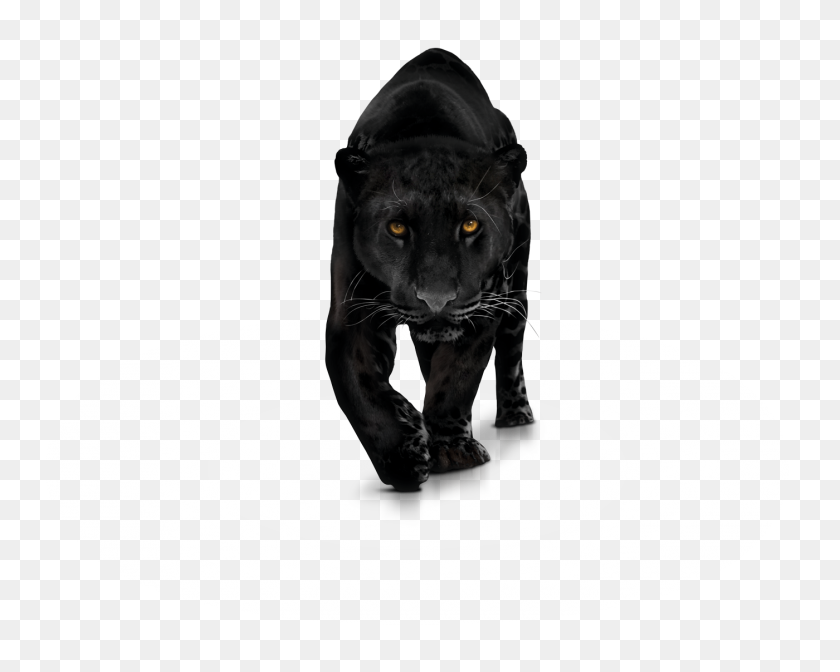 1400x1100 Panther Png Transparent Free Images Png Only - Panther PNG