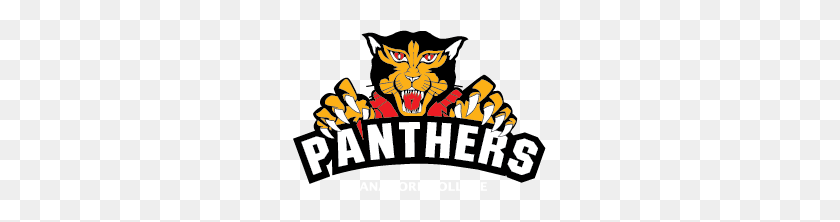 253x162 Panther Deporte Y Bienestar - Panthers Logo Png