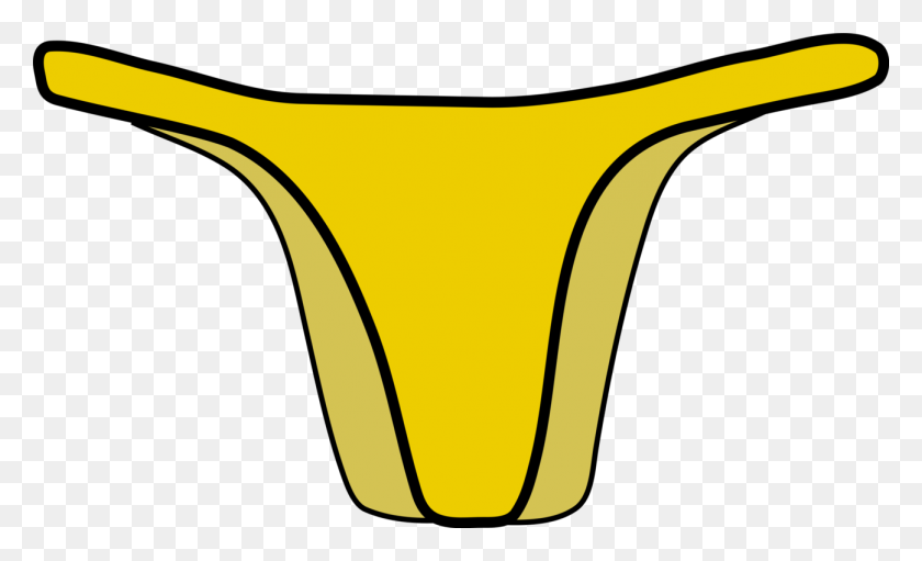 1297x750 Panties Bikini Clothing Swimsuit Undergarment - Panties Clipart