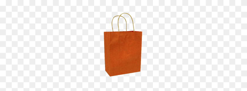 250x250 Paper Shopping Bag - Burnt Paper PNG