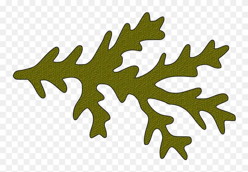 776x524 Paper This And That Another Ms Pine Branch Svg - Pine Branch PNG
