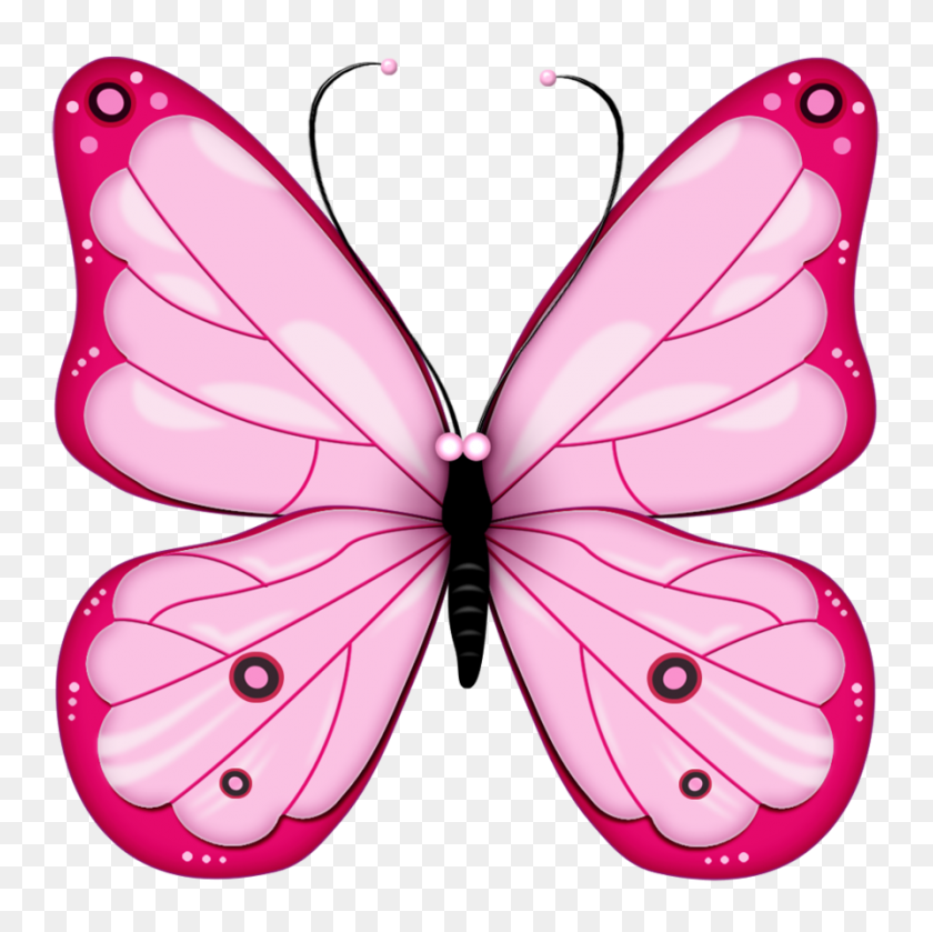 894x893 Papillons Butterfly - Cocoon Clipart