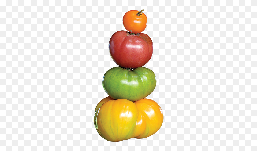 635x435 Pappardelle Con Tomates Heirloom Marinados En Las Colinas - Tomate Png