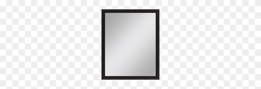 228x228 Paragon - Mirror Frame PNG