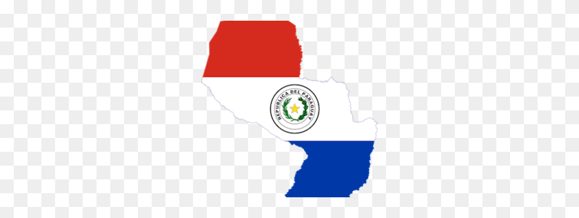 256x256 Paraguay Pure Charity - E3 PNG