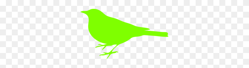 297x171 Parakeet Clip Art - Parakeet Clipart