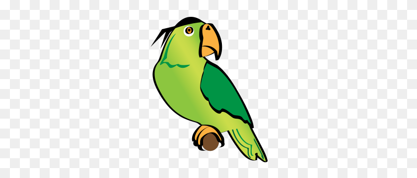 242x300 Parakeet Clipart Pirate - Pirate Eye Patch Clipart