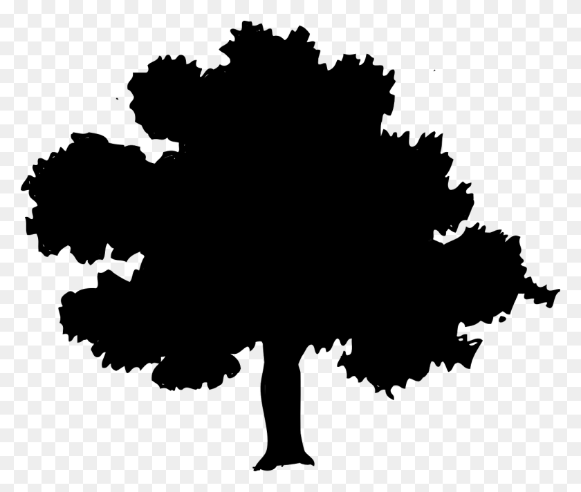 1280x1070 Park, Tree, Silhouette, Forest, Oak, Elm - Oak Tree Silhouette PNG