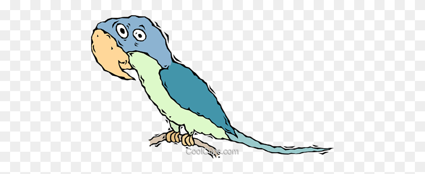 480x284 Parrot, Bird Royalty Free Vector Clip Art Illustration - Budgie Clipart