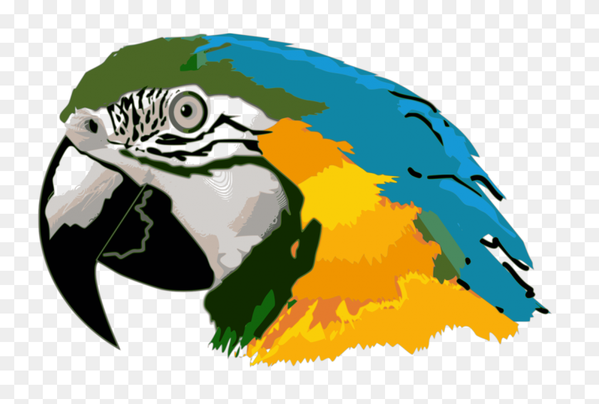 1153x750 Попугай Синий И Желтый Ара Птица Волнистый Попугайчик - Попугай Клипарт