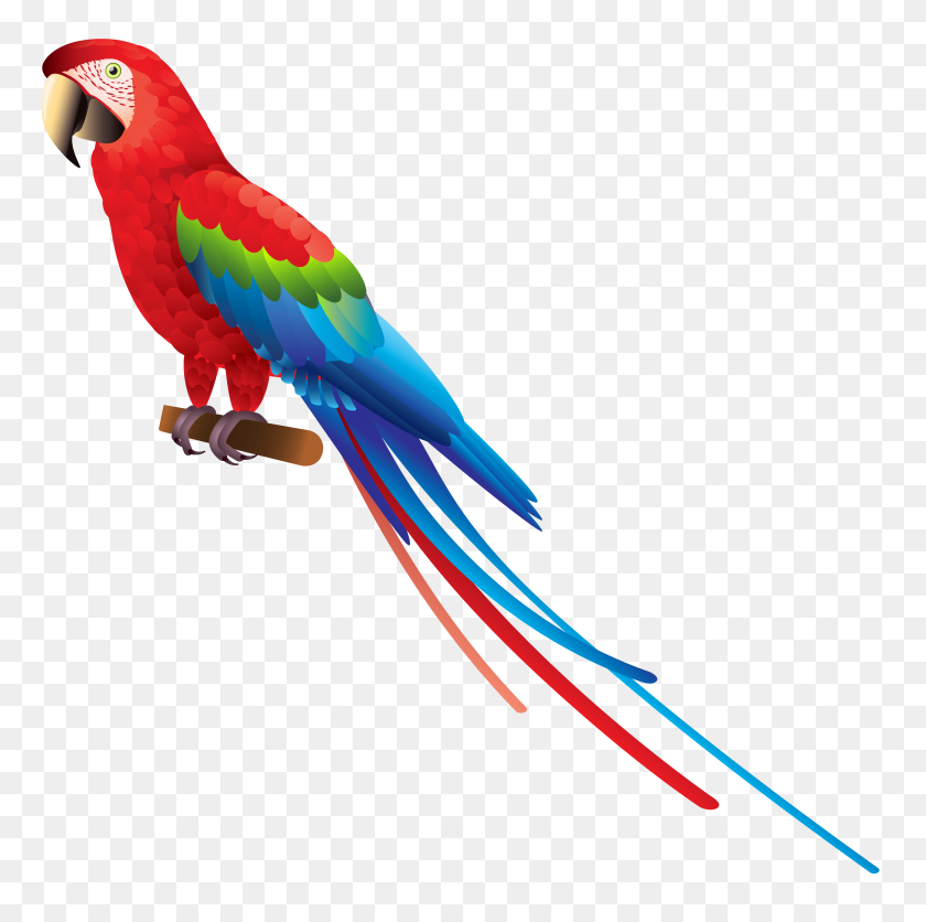 3296x3282 Parrot Png Clipart Tropical Bird - Tropical PNG