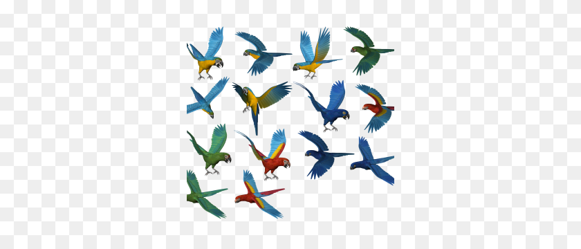 300x300 Parrot Png Clipart Web Icons Png - Flock Of Birds PNG